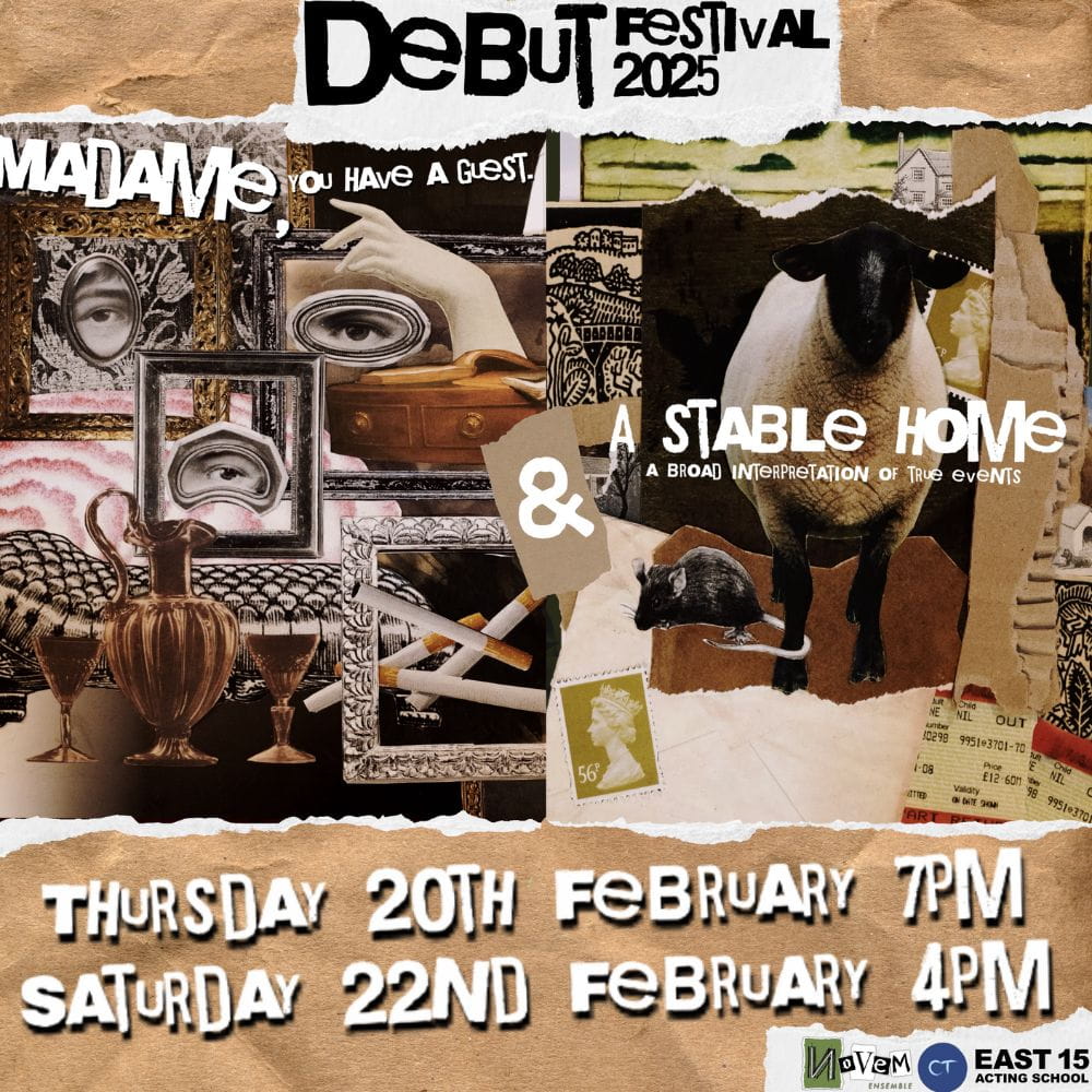 DEBUT Festival 2025: Madame, you have a guest| A Stable Home